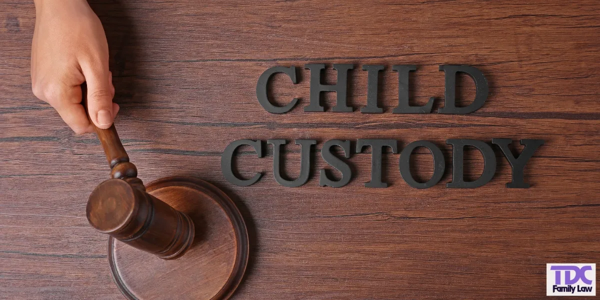 best saratoga child custody lawyer